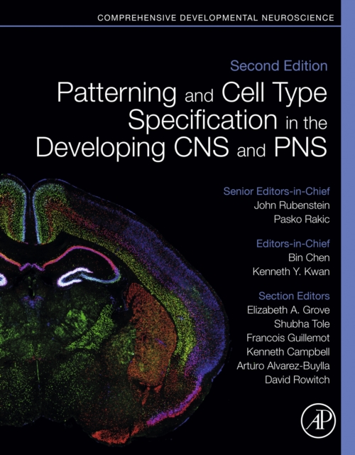 Patterning and Cell Type Specification in the Developing CNS and PNS