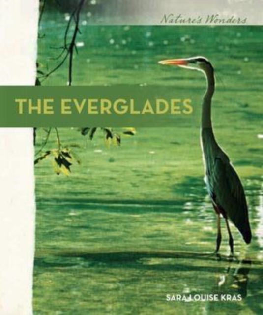 Everglades