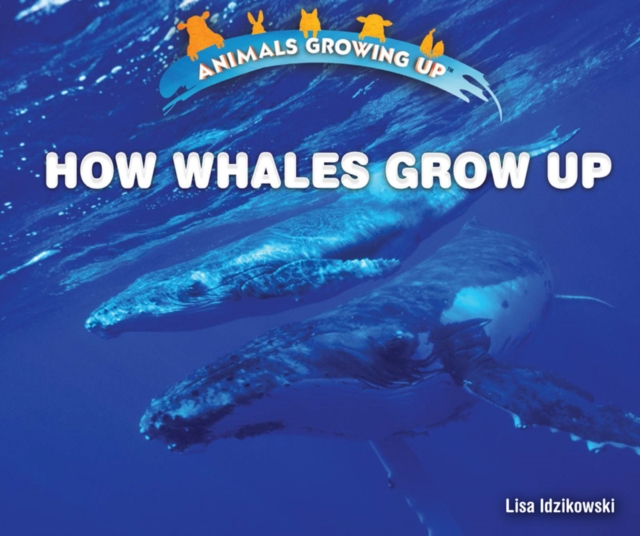 How Whales Grow Up