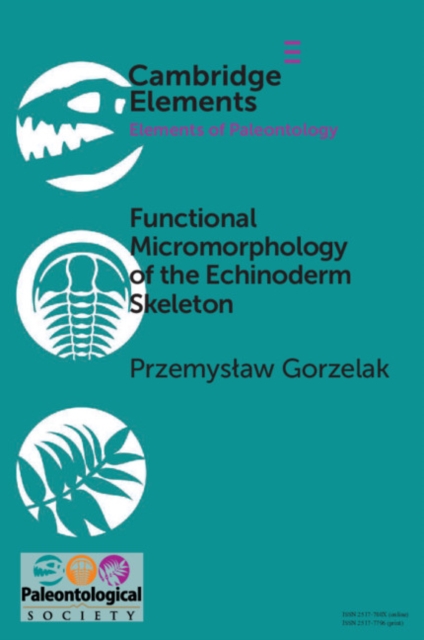 Lexical and Metrical Phonology of English
