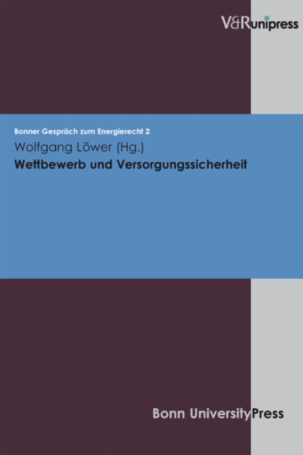 Konzeptionelle Überlegungen zur Edition von Rechnungen und Amtsbüchern des späten Mittelalters