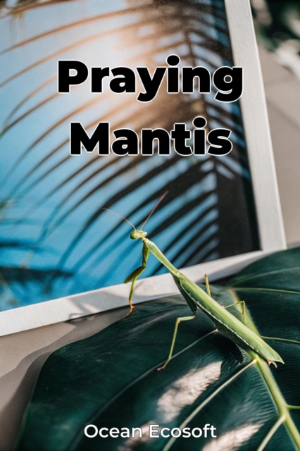Praying Mantis
