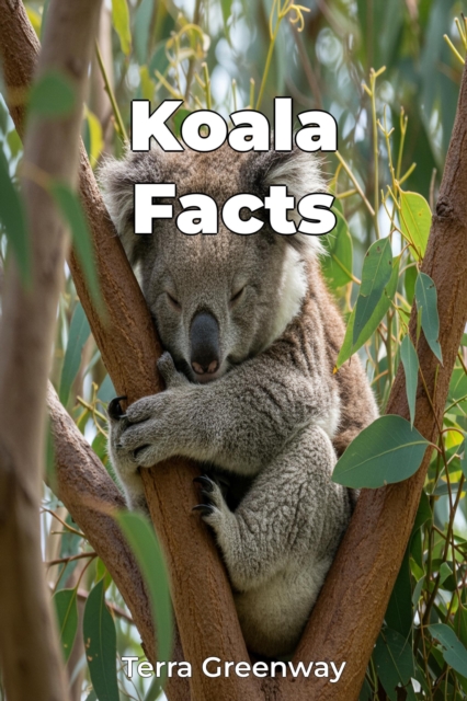 Koala Facts
