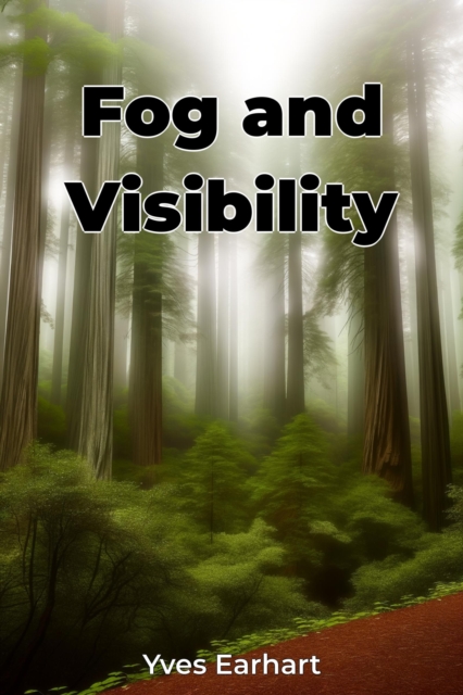Fog and Visibility