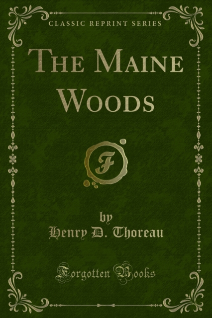 Maine Woods