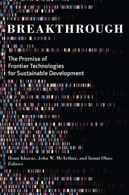 Executive Policymaking