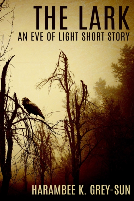 Lark: An Eve of Light Short Story