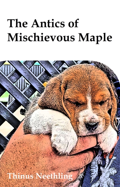 Antics of Mischievous Maple