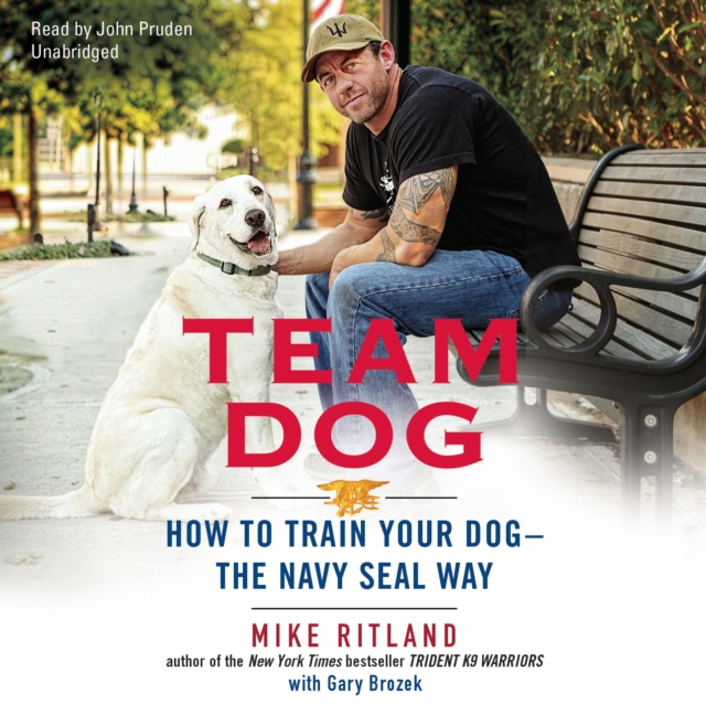 Team Dog