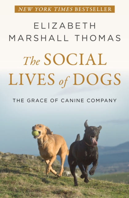 Social Lives of Dogs