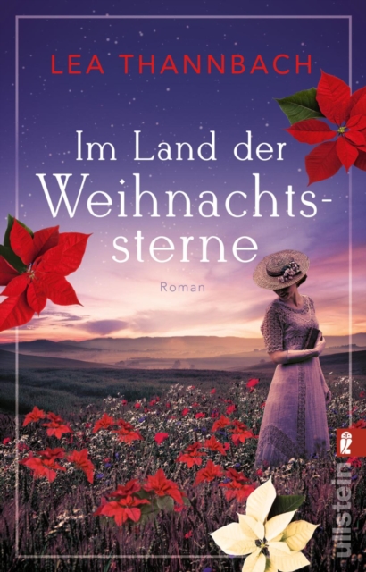 Im Land der Weihnachtssterne