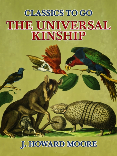 Universal Kinship