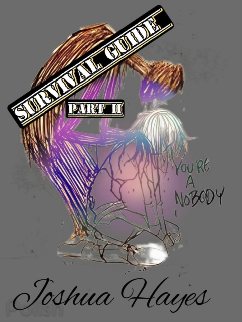 Targeted Individuals Schizophrenic Survival Guide Part II