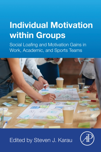 Individual Motivation within Groups
