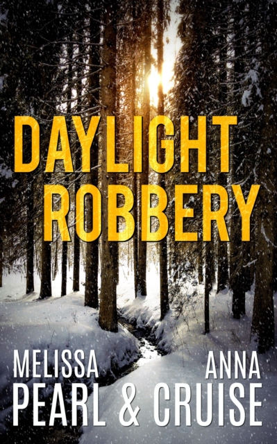 Daylight Robbery (An Aspen Falls Novel)