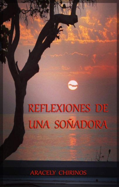Reflexiones de una Sonadora