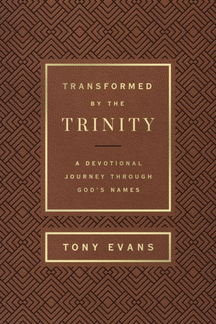 Transformed by the Trinity (Milano Softone)