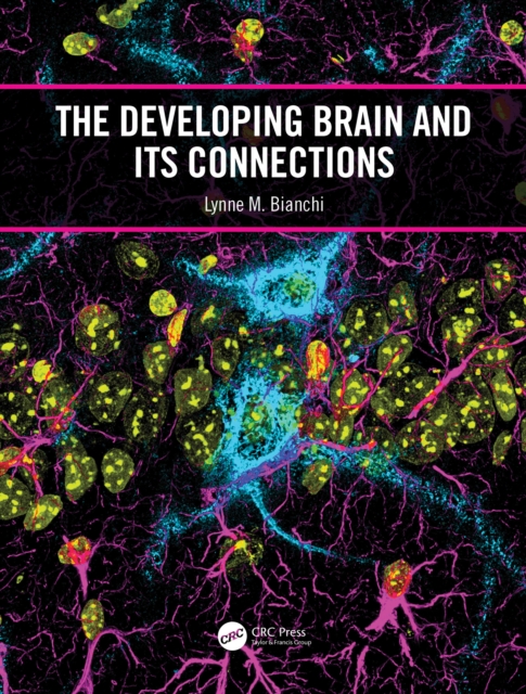 Developing Brain and its Connections