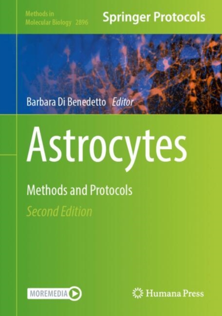 Astrocytes