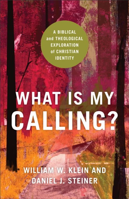 Spiritual Formation as if the Church Mattered