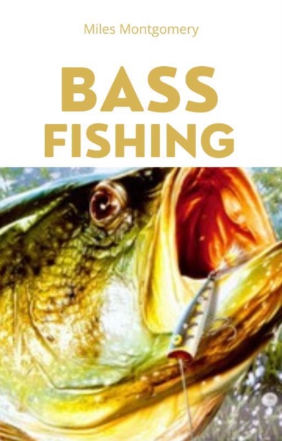 Bass Fishing