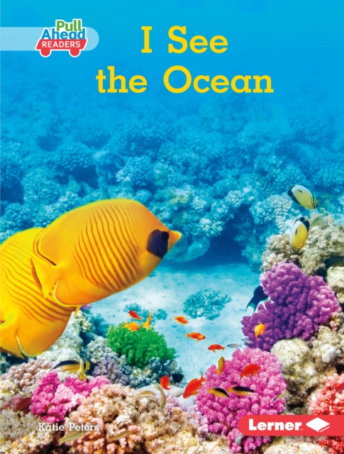 I See the Ocean