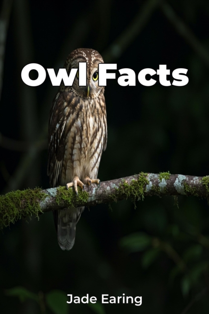 Owl Facts