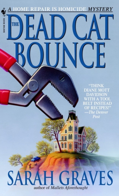 Dead Cat Bounce