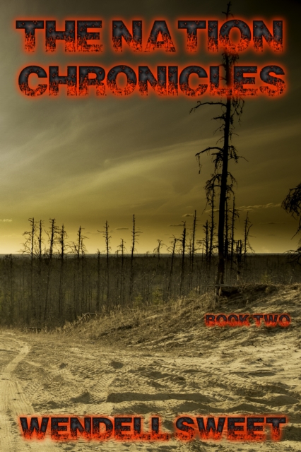 Nation Chronicles Book Two