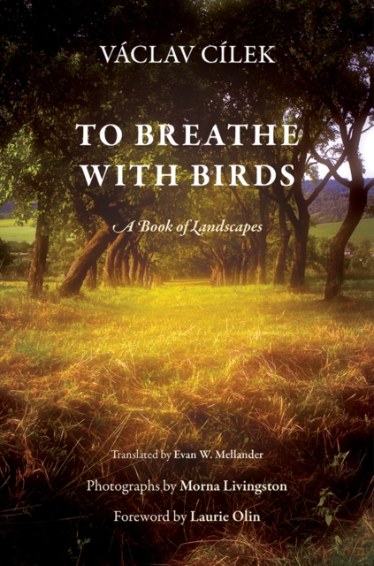 To Breathe with Birds