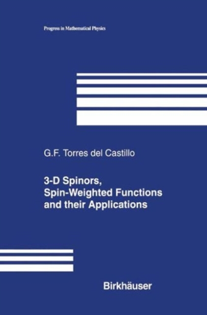 Analysis of Dirac Systems and Computational Algebra