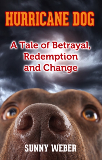Hurricane Dog : A Tale of Betrayal, Redemption and Change