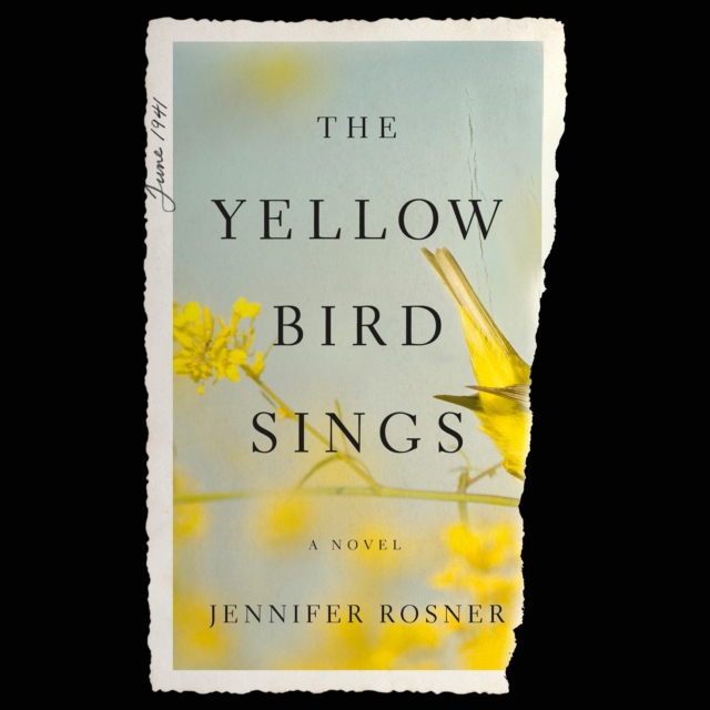 Yellow Bird Sings