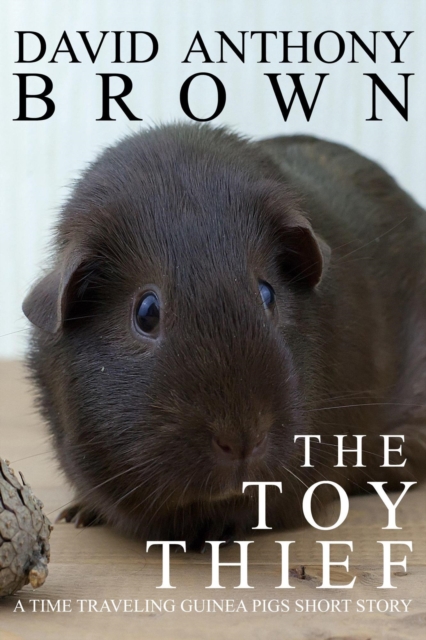 Toy Thief: A Time Traveling Guinea Pigs Short Story