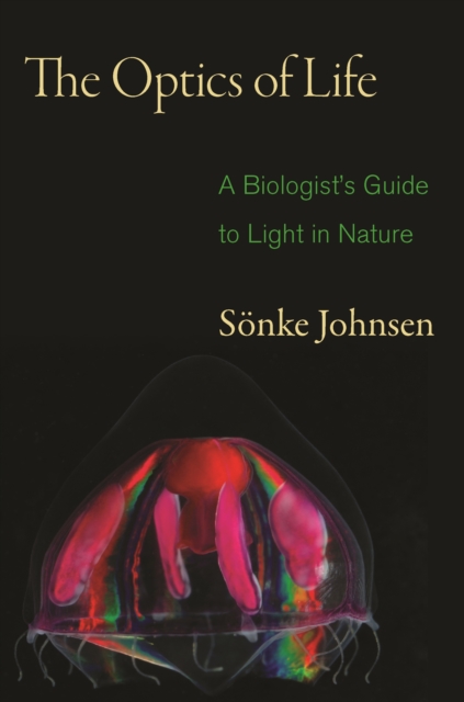 Optics of Life
