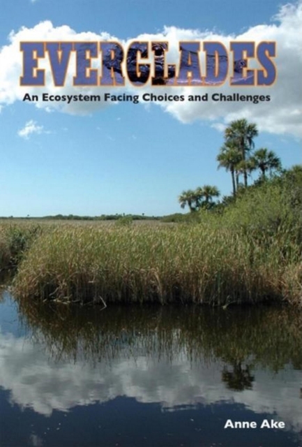 Everglades