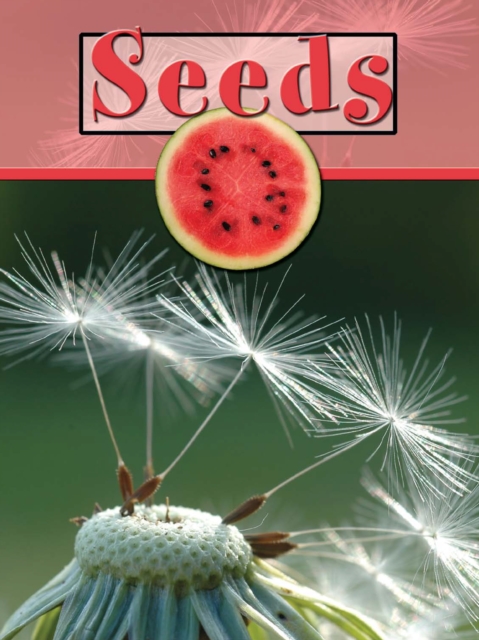 Seeds