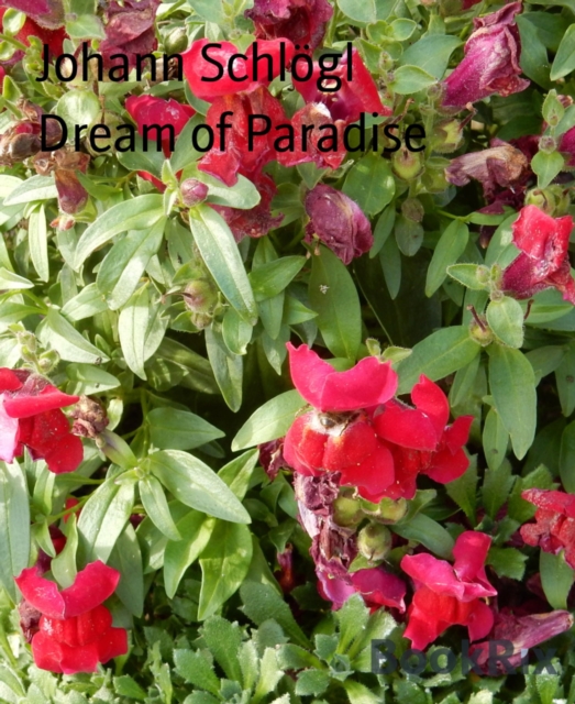 Dream of Paradise