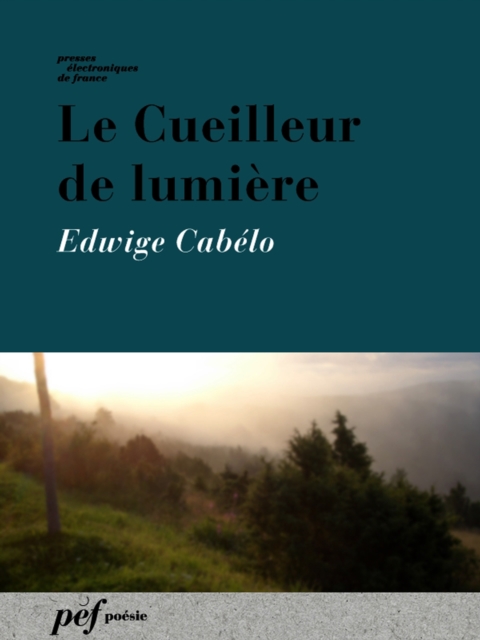 Le Cueilleur de lumière