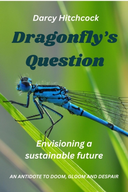 Dragonfly's Question