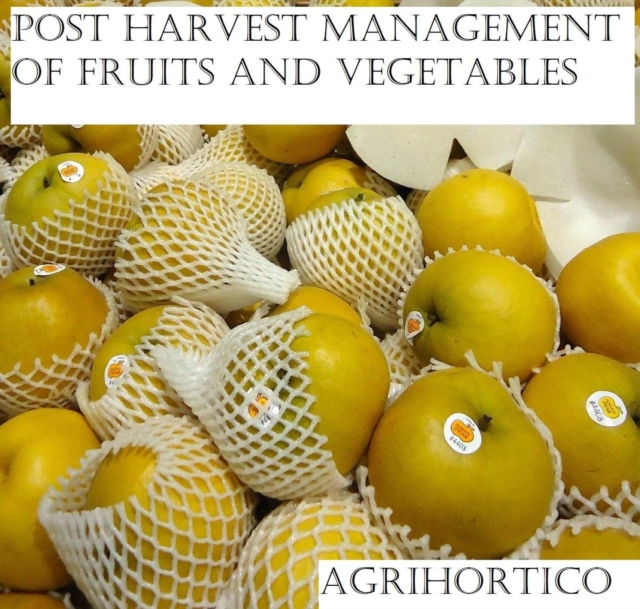 Post Harvest Management of Fruits and Vegetables