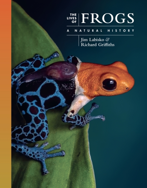 Lives of Frogs
