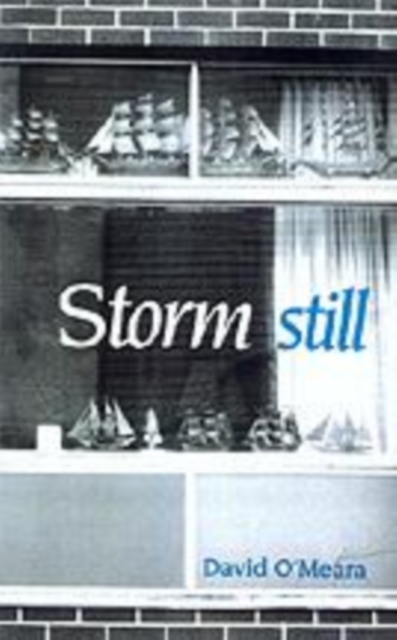 Storm Still