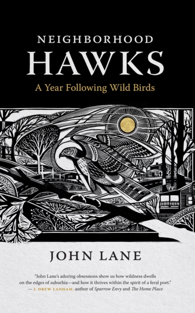 Neighborhood Hawks