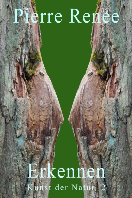 Erkennen (Kunst der Natur 2)