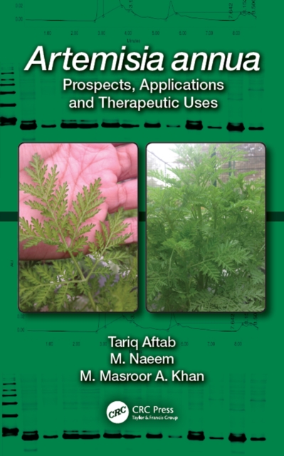 Artemisia annua