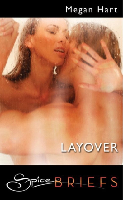 Layover (Mills & Boon Spice Briefs)