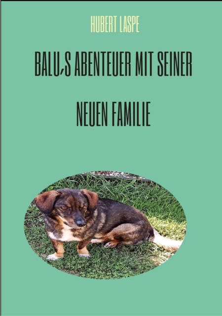Balu´s Abenteuer mit seiner neuen Familie