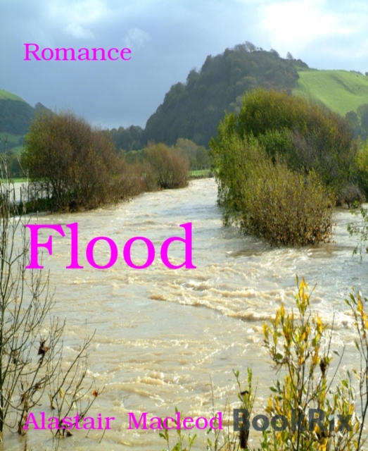 Flood