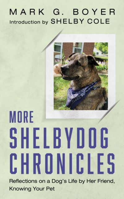More Shelbydog Chronicles